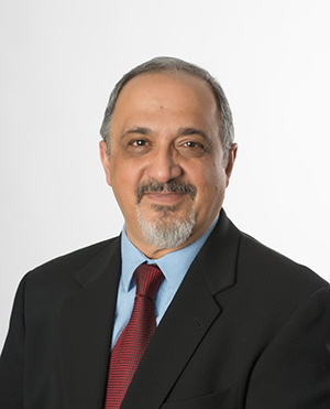 Hebat-Badiee - P.E. President of EcoGreenVision LLC